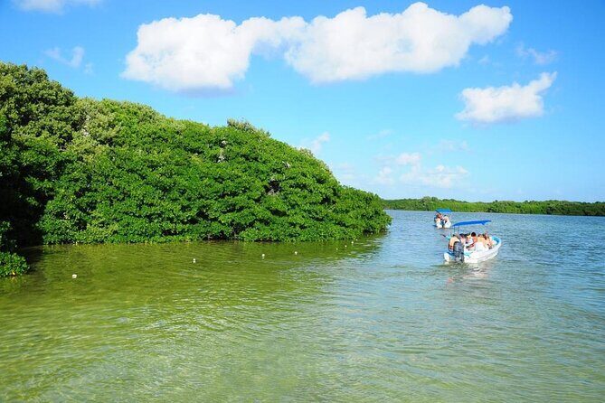 Sian Ka'an Trip from Playa del Carmen & Tulum - Who Should Consider This Tour?