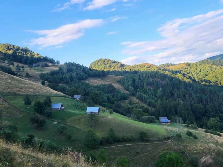 Sibiu: Cindrel Mountains Hike with Traditional Brunch - The Details: Transportation, Duration, and Cost