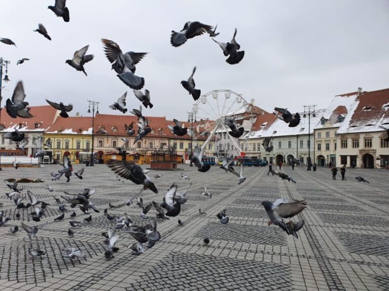 Sibiu City Tour - Private Day Trip from Bucharest - What We Love About This Tour