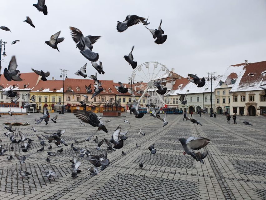 Sibiu City Tour - Private Day Trip from Bucharest - What We Love About This Tour