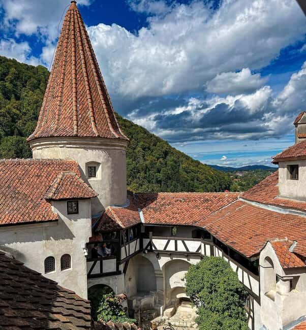Sibiu: Dracula's Castle and Dino Park Day Trip - The Value of the Tour