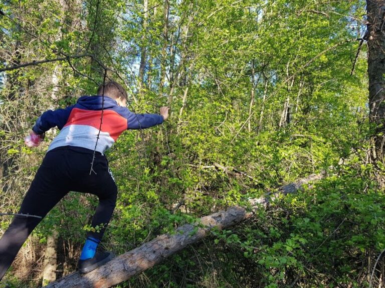 Sibiu panorama by evening, tour of Gusterita Hill - How the Tour Is Structured