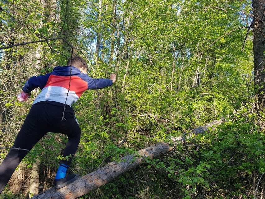 Sibiu panorama by evening, tour of Gusterita Hill - How the Tour Is Structured