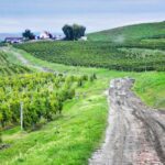 Sibiu & wine tasting tour (from Cluj) - An Honest Look at the Price and Value
