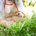 Sicilian Dining Experience with Views in Taormina - Authenticity and Customer Experience