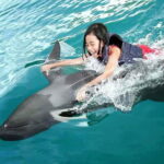 Side/Alanya: Swimming with Dolphins and Dolphin Show - What to Expect from This Tour