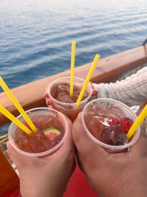 Side Dolphin Island Boat Trip with Lunch & Swim Stops - What’s Included and What’s Not