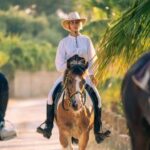 Side: Horse Safari and Family Activity Park Entry - Setting the Scene: What This Tour Offers