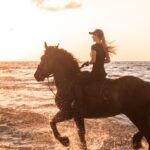 Side: Horseback Riding Tour in Nature with Transfer - The Itinerary Breakdown