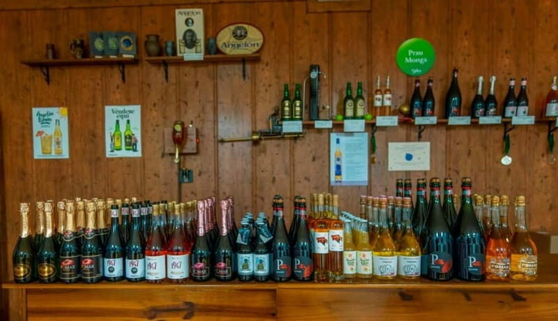 Sidra Vda. de Angelón: guided visit to a cider mill with tasting - The Drinking Experience and Cultural Insight