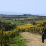 Siena: Half-day Guided Hike to Monteriggioni - A Walking Journey through Tuscany’s Past and Present