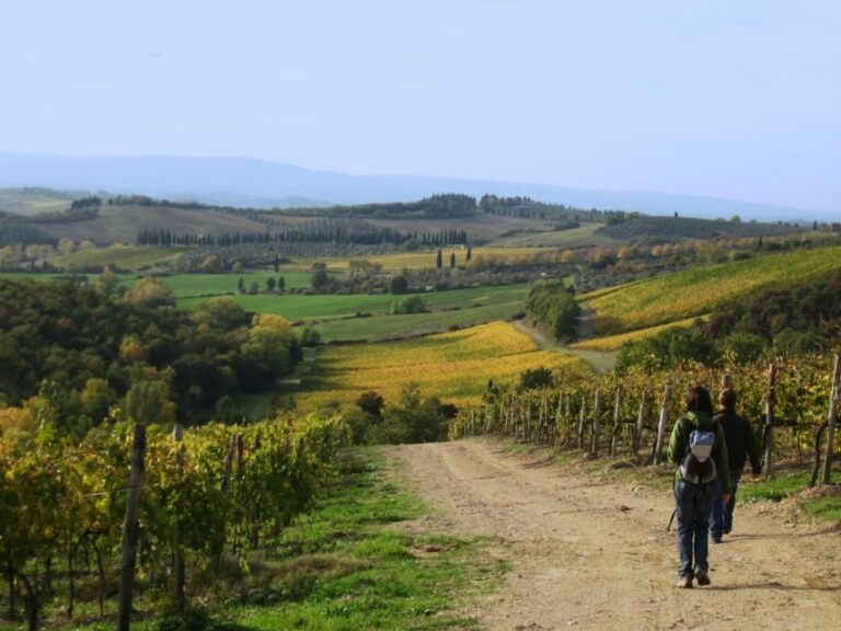 Siena: Half-day Guided Hike to Monteriggioni - A Walking Journey through Tuscany’s Past and Present