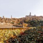 Siena : Highlights Private Walking tour - Architectural Marvels and UNESCO Sites