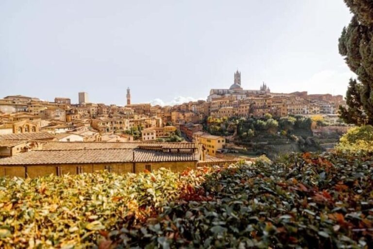 Siena : Highlights Private Walking tour - Architectural Marvels and UNESCO Sites