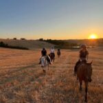 Siena: Horseback Riding with Siena in the background - Value for Money