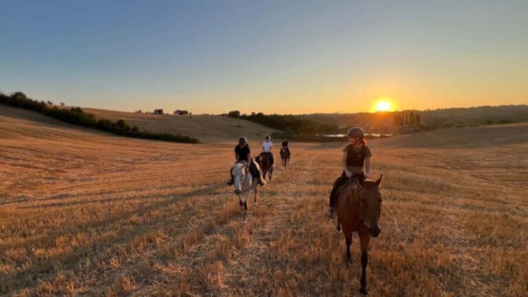 Siena: Horseback Riding with Siena in the background - Value for Money