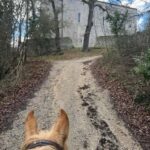 Siena: Horseback Tour on the Via Francigena - The Ride Experience and Atmosphere