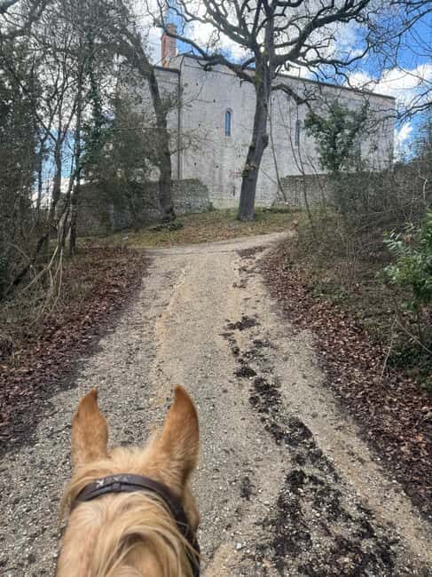 Siena: Horseback Tour on the Via Francigena - The Ride Experience and Atmosphere