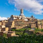 Siena Like a Local: Customized Private Tour - The Feel of a Local in Siena