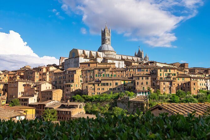 Siena Like a Local: Customized Private Tour - The Feel of a Local in Siena