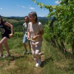 Siena: Organic Winery Tour and Wine Tasting - What You Can Expect: The Day in Details