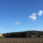 Siena: Tour and Wine Tasting in a Tuscan Private Castle - Authentic Reviews and Real Traveler Insights