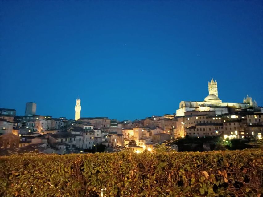 Siena Underground Wine tasting in a Medieval Cave - An Unforgettable Atmosphere and Setting