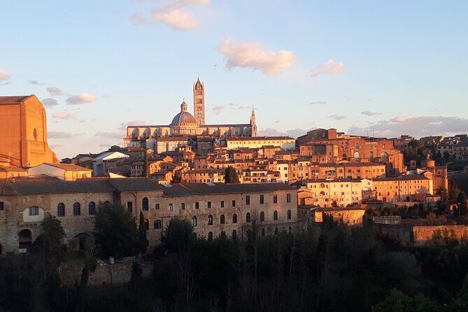 Siena walking tour with lunch & Chianti wine - Is This Tour Right for You?