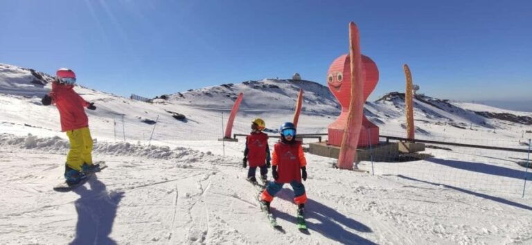 Sierra Nevada: Private Alpine Ski Lesson - What the Reviews Say