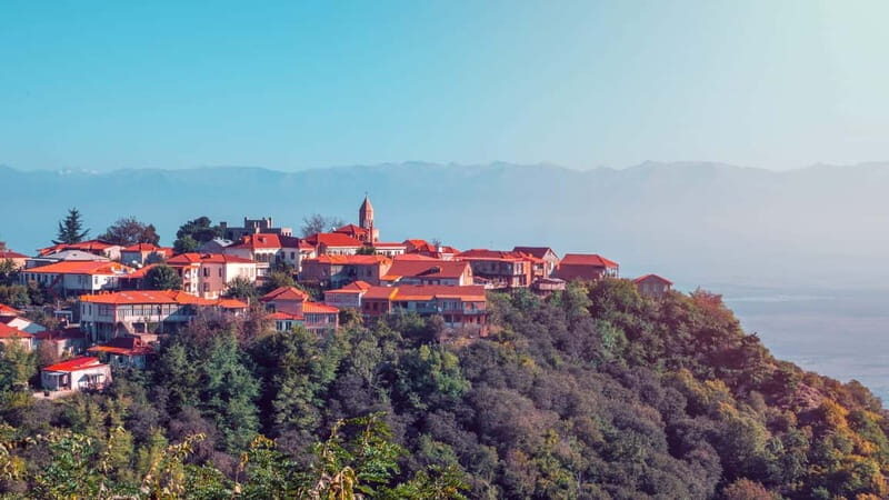 Sighnaghi and Bodbe Wine Tasting private tour: From Tbilisi - Practical Details and Tips