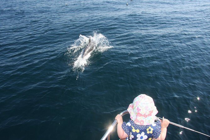 Sighting Dolphin Trip Estepona, Marbella - The Practical Side: Booking and Flexibility