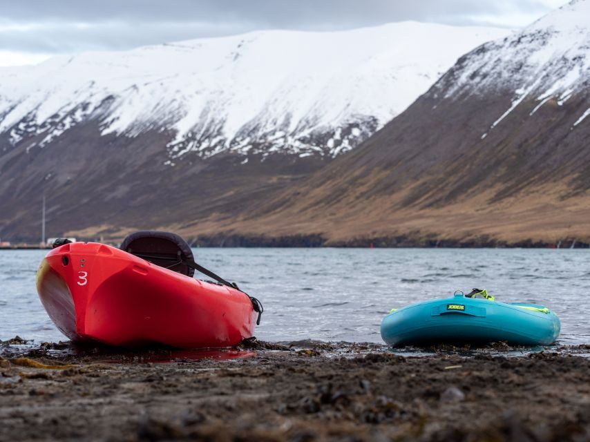 Siglufjörður / Siglufjordur: Guided kayak tour. - Who Is This Tour Best For?