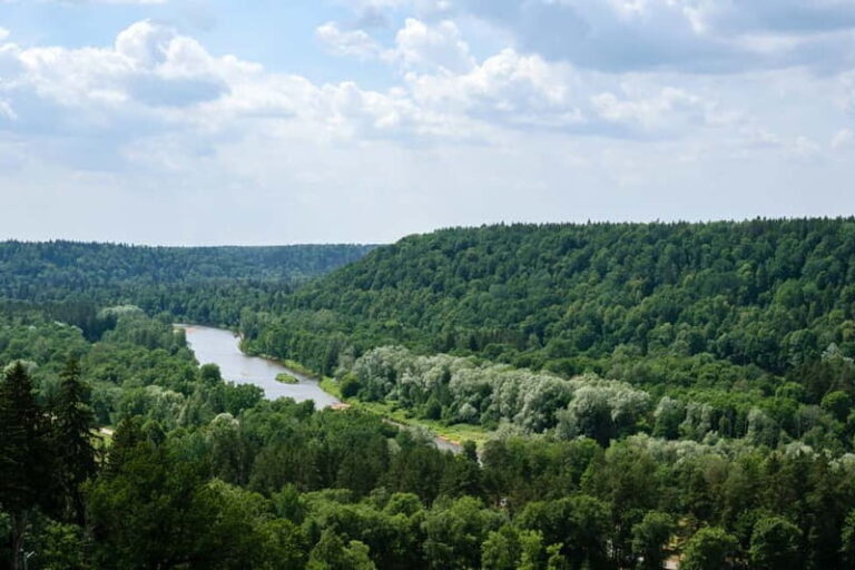 Sigulda Day Tour - Castle Ruins, Gtmaala Grotto, & More - Who Should Consider This Tour?