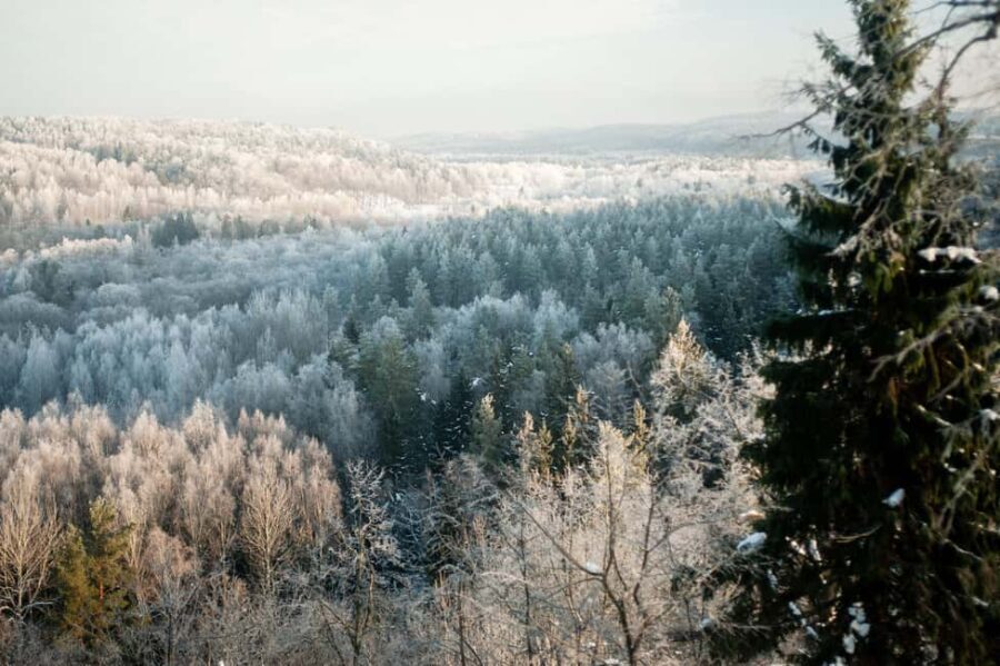 Sigulda: Walk in Gauja National Park with Photoghrapher - The Itinerary in Detail