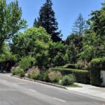 Silicon Valley Tour Private Day Trip from San Francisco - FAQs