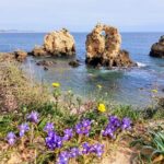 Silves and Albufeira (NEW) - A Closer Look at the Tour Experience