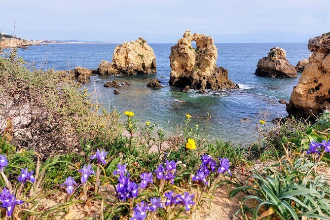 Silves and Albufeira (NEW) - A Closer Look at the Tour Experience