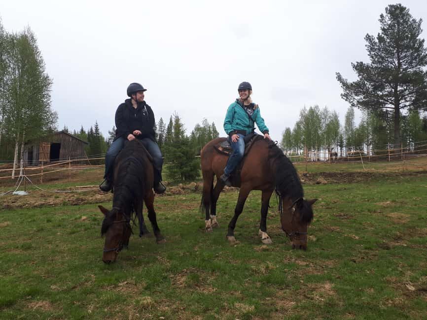 Simo: Horseback Riding Tour - What the Reviews Say
