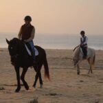 Sines: Horseback Riding on a Beach with Portuguese Horses - The Meeting Point and Logistics