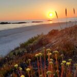 Sines: Private Guided Hike in the Costa Alentejana - The Return and Practicalities