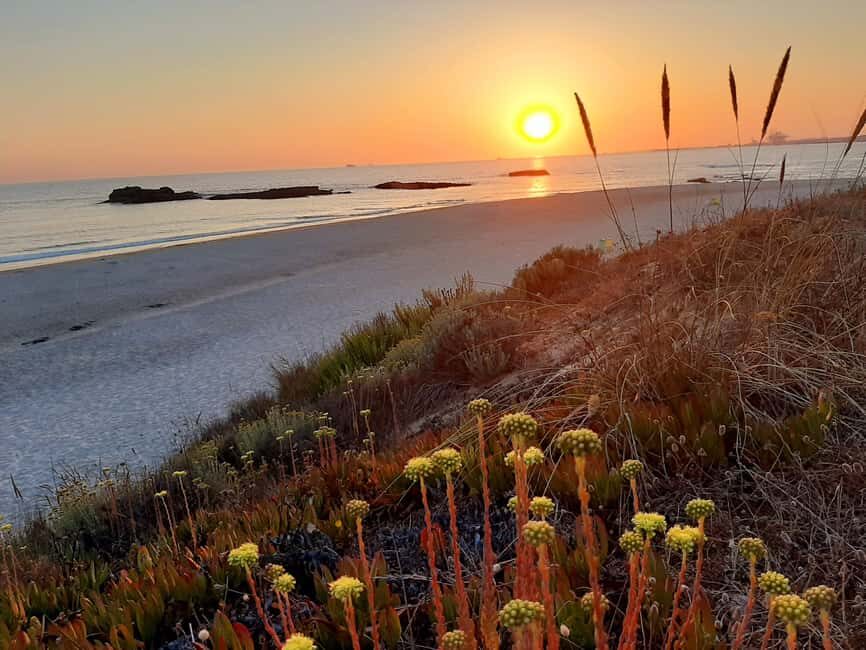 Sines: Private Guided Hike in the Costa Alentejana - The Return and Practicalities