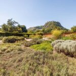 Singing: Guided herb tour "Wild herbs on the banks of the Aa" - The Practicalities