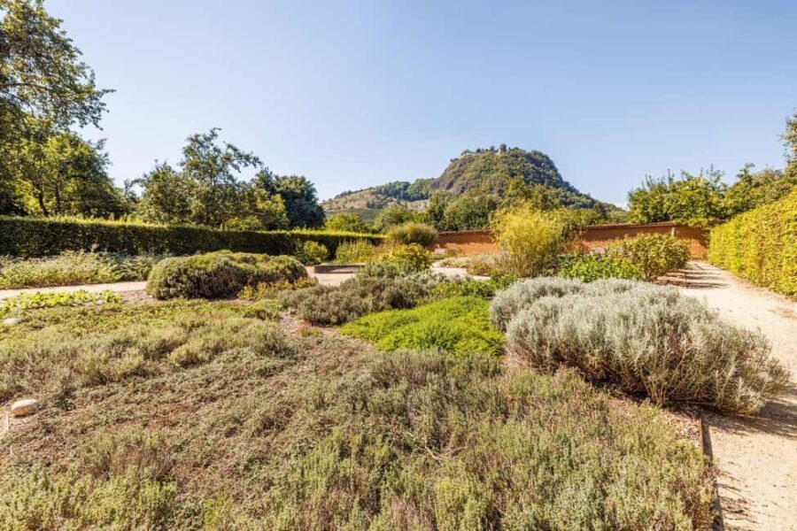 Singing: Guided herb tour "Wild herbs on the banks of the Aa" - The Practicalities