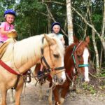Single ATV, Horseback Riding, Ziplines and Cenote Swim - Who This Tour Is Perfect For