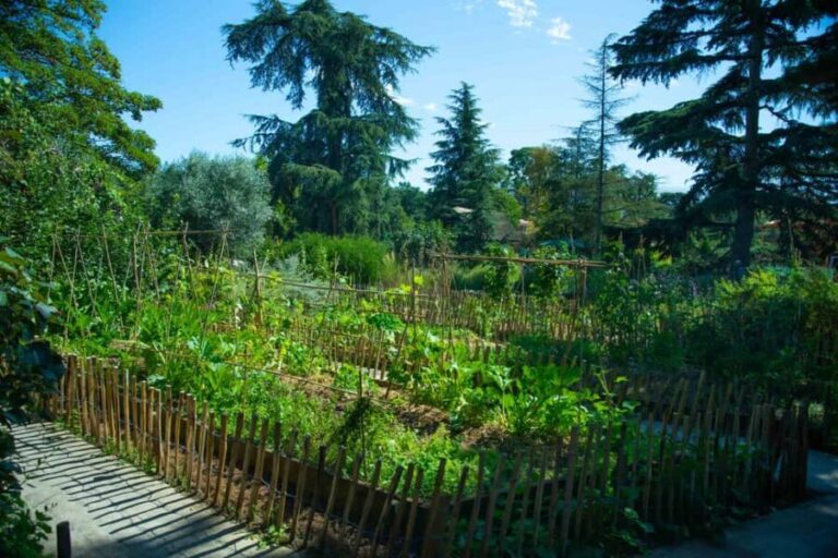 Single Entry Ticket to Jardin d'Acclimatation (without ride) - The Natural Beauty and Art