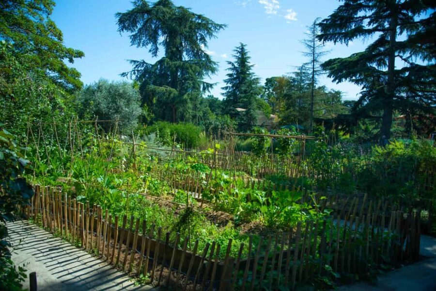 Single Entry Ticket to Jardin d'Acclimatation (without ride) - The Natural Beauty and Art