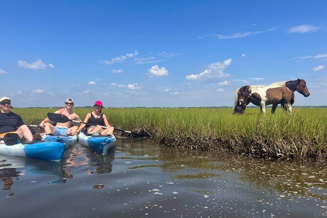 Single Sit on Top Kayak Rental at Assateague Island, MD - The Experience: A Closer Look
