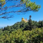 Sintra and Cascais: Magical Fairytale Tour - Transportation and Overall Value