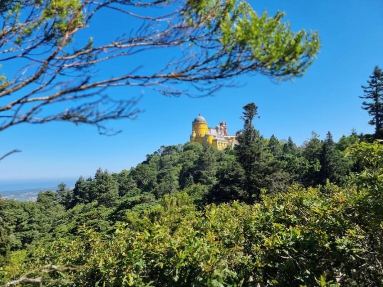 Sintra and Cascais: Magical Fairytale Tour - Transportation and Overall Value