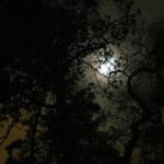 Sintra, Apparitions and Stories From the Mountains - Private Night Walk - Authentic Feedback from Past Participants